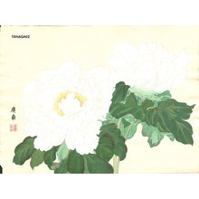 Tanagami, Konan: Peony - Asian Collection Internet Auction