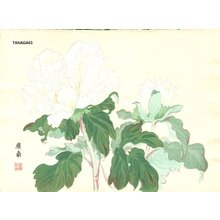 Tanagami, Konan: Peony - Asian Collection Internet Auction