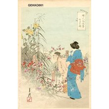 Gekko: BIJIN (beauty) - Asian Collection Internet Auction