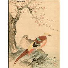 Kikuchi, Hobun: Pheasant - Asian Collection Internet Auction