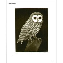 Sakamoto, Koichi: Cat Bird No. 1 - Asian Collection Internet Auction