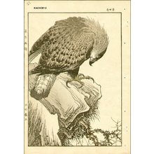 今尾景年: Keinen's Book of Birds and Flowers - Asian Collection Internet Auction