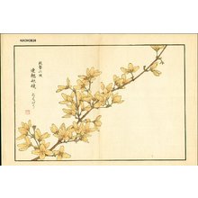 Kose, Shoseki: Spring blossoms - Asian Collection Internet Auction