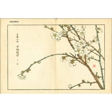Kose, Shoseki: Prunis (plum blossoms) - Asian Collection Internet Auction