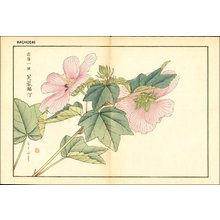 Kose, Shoseki: Hibiscus - Asian Collection Internet Auction