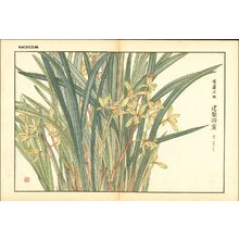 Kose, Shoseki: Orchid - Asian Collection Internet Auction