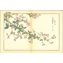 Kose, Shoseki: Bush clover - Asian Collection Internet Auction
