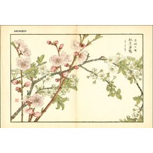 Kose, Shoseki: Plum and cherry - Asian Collection Internet Auction