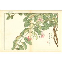 Kose, Shoseki: Floral - Asian Collection Internet Auction