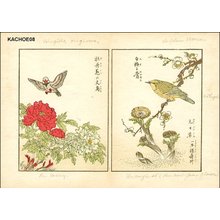 無款: - Asian Collection Internet Auction