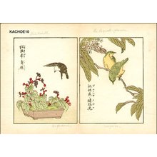 無款: SHUKAIDO and HIYODORI, Loquat and MEJIRO - Asian Collection Internet Auction