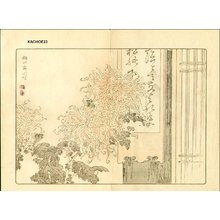 幸野楳嶺: Chrysanthemum - Asian Collection Internet Auction