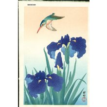 Shoson Ohara: Kingfisher and Iris - Asian Collection Internet Auction