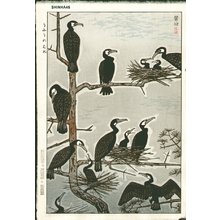 笠松紫浪: Cormorants - Asian Collection Internet Auction