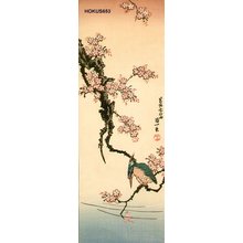 葛飾北斎: Kingfisher and cherry - Asian Collection Internet Auction