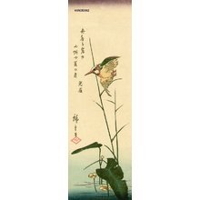 歌川広重: Kingfisher - Asian Collection Internet Auction