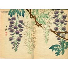 Unknown: Wisteria - Asian Collection Internet Auction