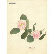 Not signed: Camellias - Asian Collection Internet Auction