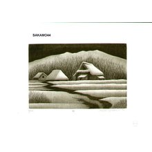 Sakamoto, Koichi: NO (Field) - Asian Collection Internet Auction