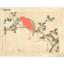 Keibun Matsumoto: Chattering Lorry and Camellia Sasanqua - 猩々 