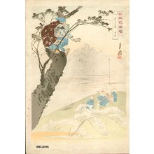 Gekko: Cherry blossoms - Asian Collection Internet Auction