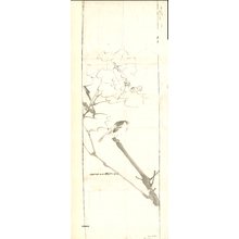 無款: Kacho-e (wildlife drawing) - Asian Collection Internet Auction