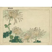 柴田是眞: Floral - Asian Collection Internet Auction