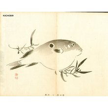 無款: Blow fish - Asian Collection Internet Auction