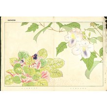 Not signed: Floral - Asian Collection Internet Auction