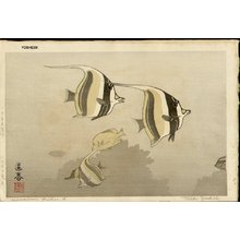 吉田遠志: Hawaiian Fish A - Asian Collection Internet Auction