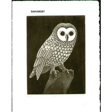 Sakamoto, Koichi: NEKODORI 1 (Owl 1) - Asian Collection Internet Auction