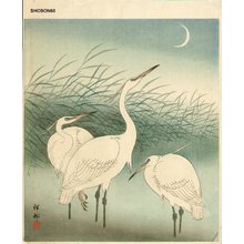 Shoson Ohara: 3 egrets, reeds, and crescent move - Asian Collection Internet Auction