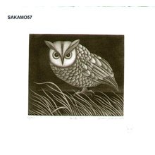 Sakamoto, Koichi: NEKODORE 2 (owl 2) - Asian Collection Internet Auction