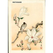 Watanabe, Seitei: Bird and magnolia - Asian Collection Internet Auction