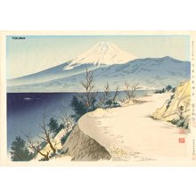 徳力富吉郎: 36 Views of Fuji, Izu Eri Coast - Asian Collection Internet Auction