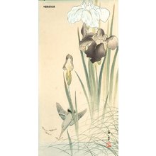 Imao Keinen: Kingfisher and iris - Asian Collection Internet Auction