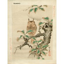 Tsunenobu: Sleeping Long-eared Owl - Asian Collection Internet Auction