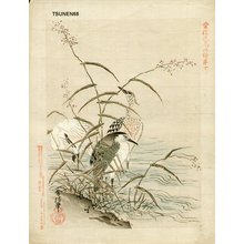 Tsunenobu: Egrets and Herons - Asian Collection Internet Auction