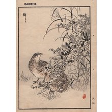 幸野楳嶺: Partrige, one album page - Asian Collection Internet Auction