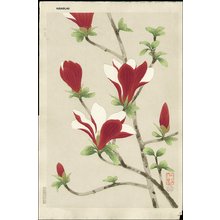 Ito, Nisaburo: Magnolia - Asian Collection Internet Auction
