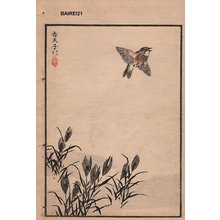 幸野楳嶺: Sparrow and rushes, one album page - Asian Collection Internet Auction
