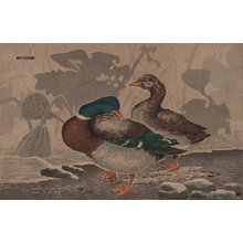 小林清親: Wild Ducks Withered Lotus - Asian Collection Internet Auction