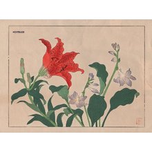 酒井抱一: Tiger lily and purple hosta - Asian Collection Internet Auction