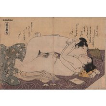 Katsukawa Shuncho: Courtesan and client - Asian Collection Internet Auction