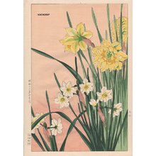 Nishimura, Hodo: Daffodil - Asian Collection Internet Auction
