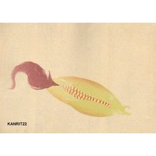 Kida, Kanritsuによる浮世絵「Sweet corn」