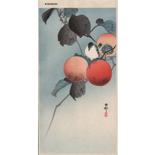 Shoson Ohara: Nuthatch and persimmons - Asian Collection Internet Auction