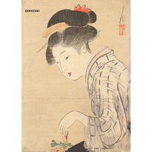 Gekko: - Asian Collection Internet Auction
