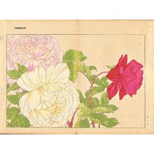 Tanagami, Konan: Rose - Asian Collection Internet Auction