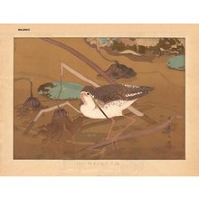 Raizan, Negoro: Sandpiper and lotus - Asian Collection Internet Auction